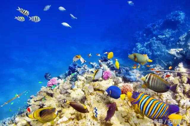 去澳大利亚可以去哪玩,去澳大利亚旅游必须去的地方