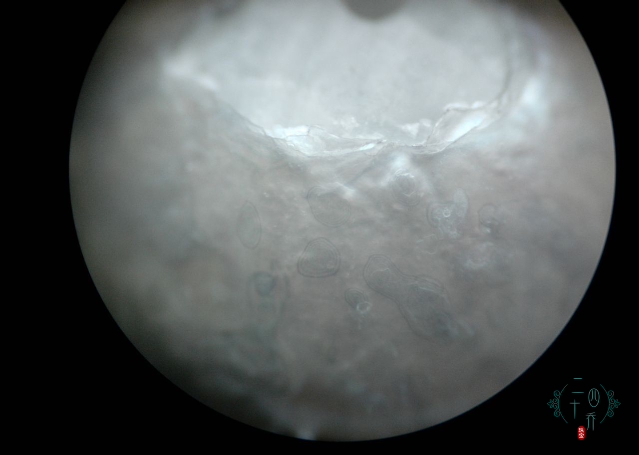 买珍珠好还是黄金好,买珍珠买海水还是淡水