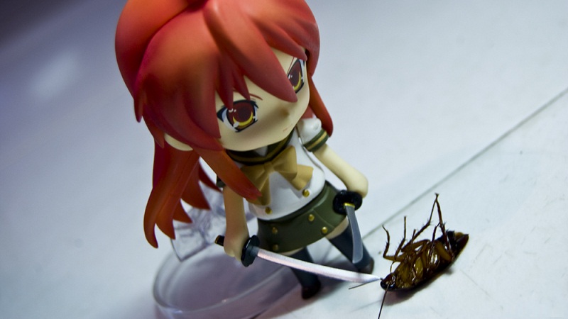 医院有蟑螂如何处理,被蟑螂咬了怎么办要不要去医院