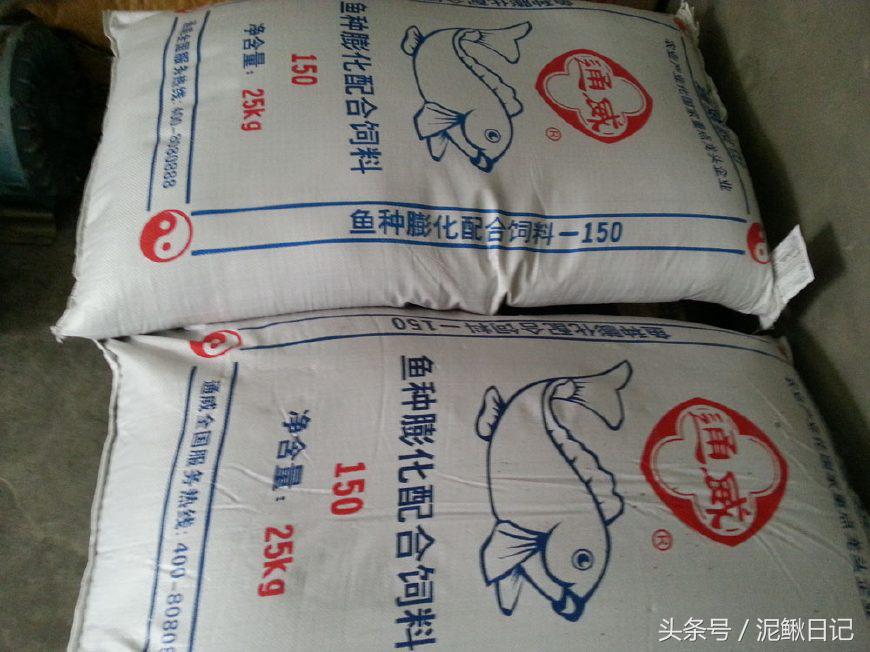 娉ラ硡鍏绘畺鏁堢泭,澶ф娉ラ硡鍏绘畺鏁堢泭