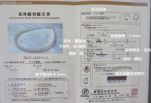 做珍珠中的“花珠”和“天女”，比考上清华北大还难