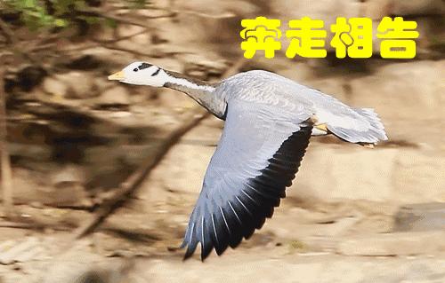 深圳各医院就诊最新规定,深圳哪个医院可以随便看病