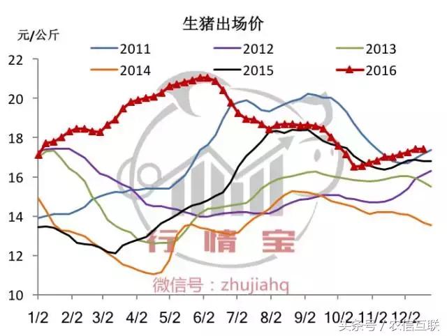 今年养猪预测,现在猪价下跌养猪还来得及吗