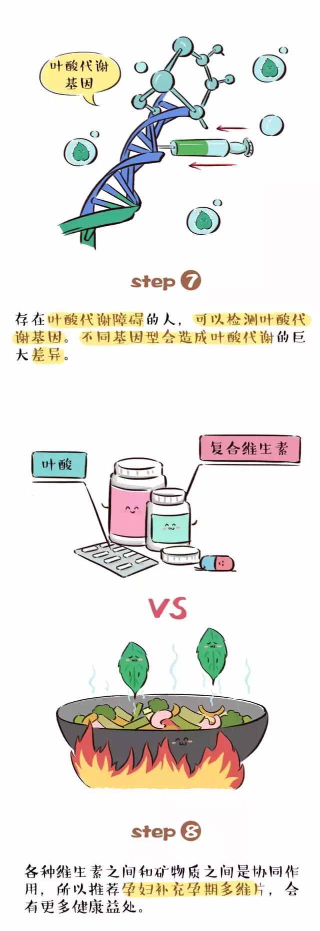 准备怀孕前多久开始吃叶酸,准备怀孕老公也要吃叶酸吗