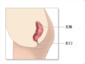 医生开玩笑对怀孕的护士说“你生孩子没*眼屁**!”,没想到一语成谶