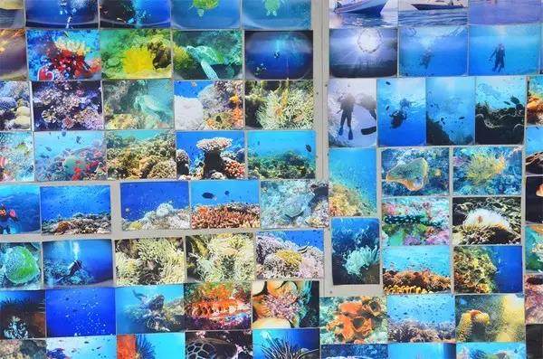 大家以前是不是都拍过这样的照片,每个人都见过的照片