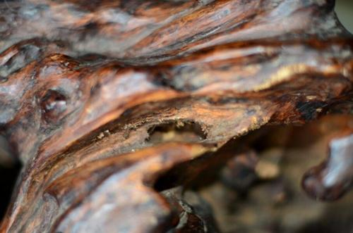 传世最顶级奇楠沉香展示,天然奇楠沉香面世图片