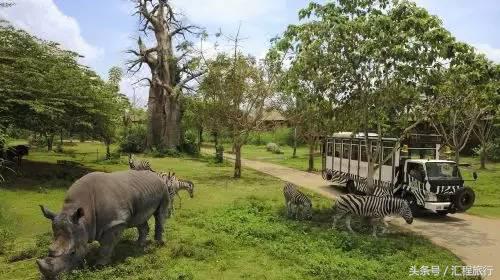 去澳大利亚可以去哪玩,去澳大利亚旅游必须去的地方