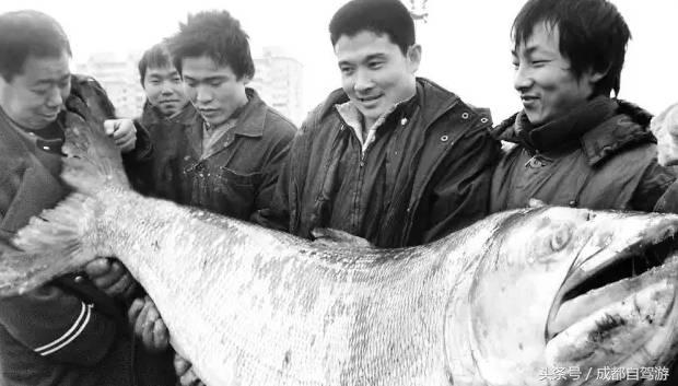 东川红土地距离元谋土林有多远,元谋土林东川红土地