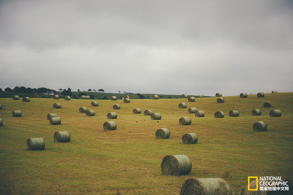 英爱岛行:寂静与喧哗,理智与情感