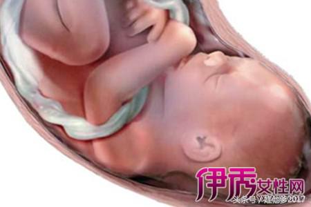 胎位不正是什么原因导致的,孕妇胎位不正努力按压肚子