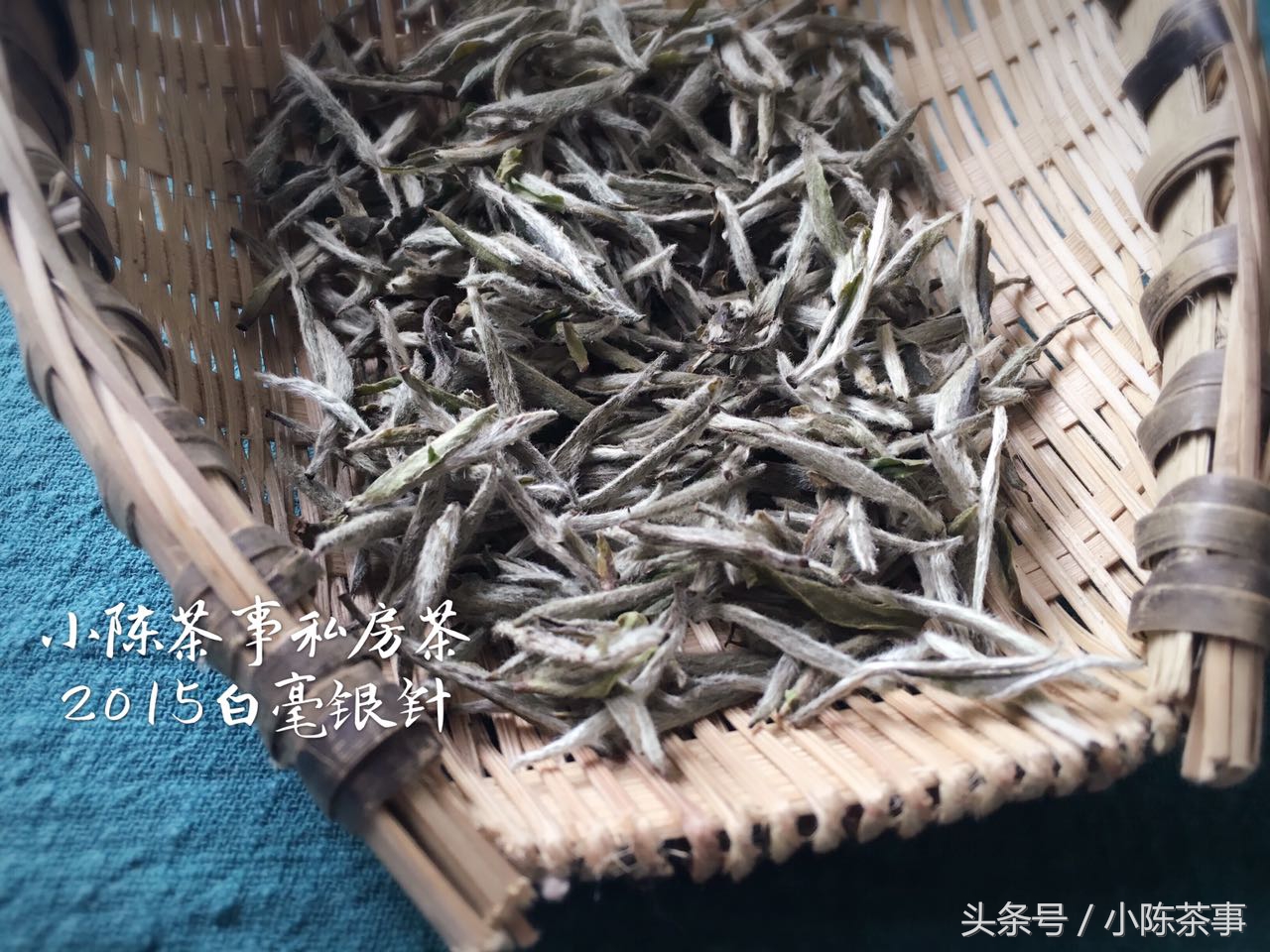 什么是老白茶新白茶,老中医白茶