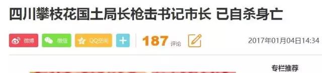 攀枝花枪击案最新结果,2017年攀枝花市枪击案