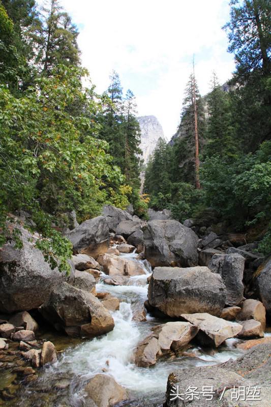 加利福尼亚美洲公园,加利福利亚国家公园