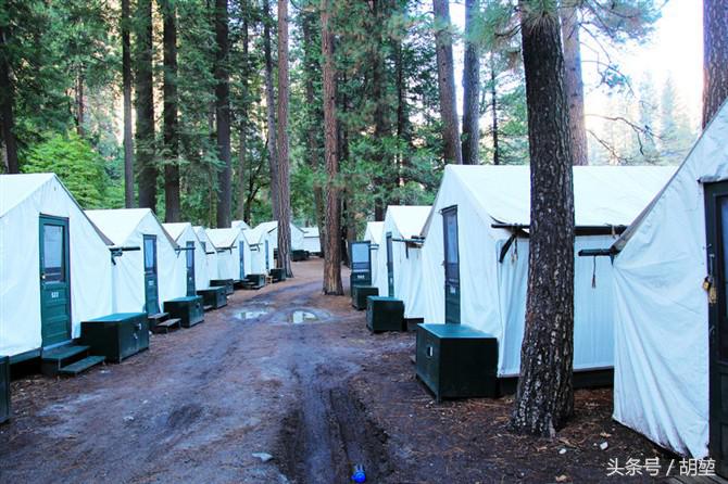 加利福尼亚美洲公园,加利福利亚国家公园