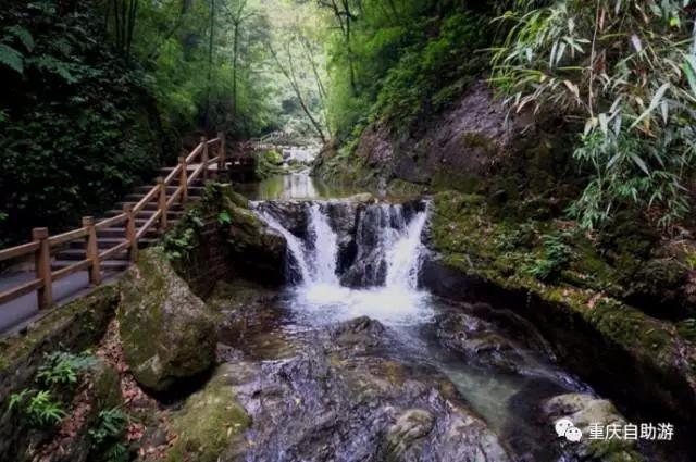 成都洗肺空气好的地方,去雾霾洗肺的地方