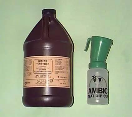 用心的犊牛管理者CRI国际兽医学博士——大卫L·布朗