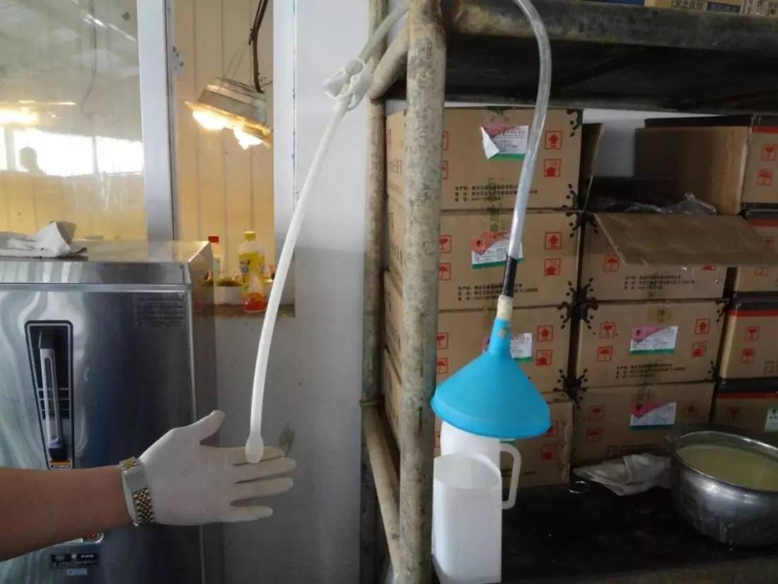 用心的犊牛管理者CRI国际兽医学博士——大卫L·布朗