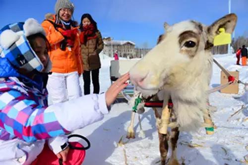 来正定过大年,来葛仙山过大年