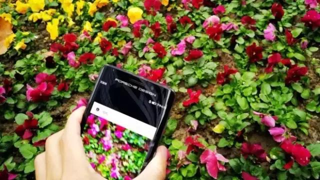 华为mate9保时捷支持内存卡吗,华为mate9保时捷版支持鸿蒙吗