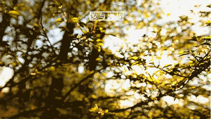 爱一定想上,想上不一定爱