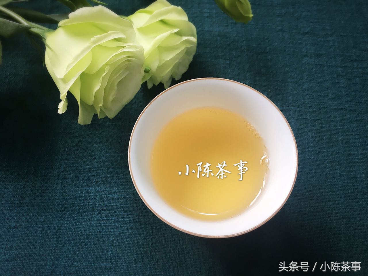 什么是老白茶新白茶,老中医白茶