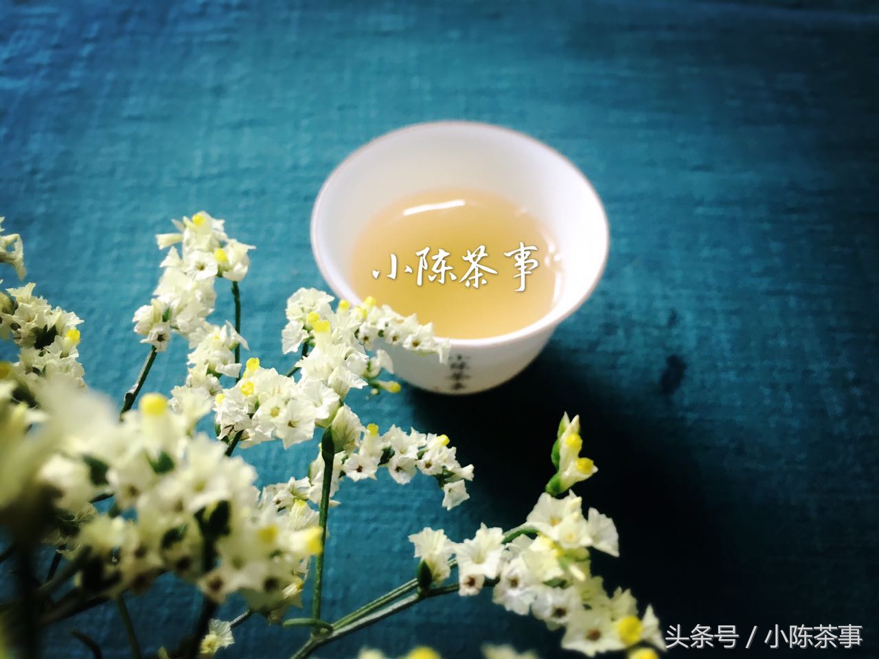 什么是老白茶新白茶,老中医白茶