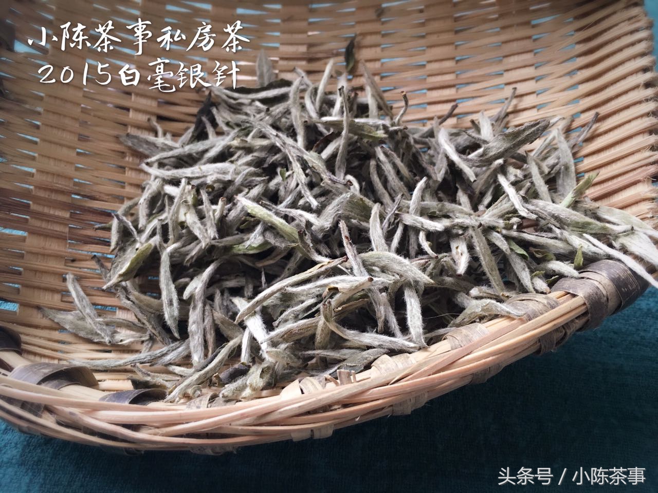 什么是老白茶新白茶,老中医白茶