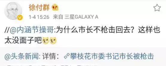 攀枝花枪击案最新结果,2017年攀枝花市枪击案