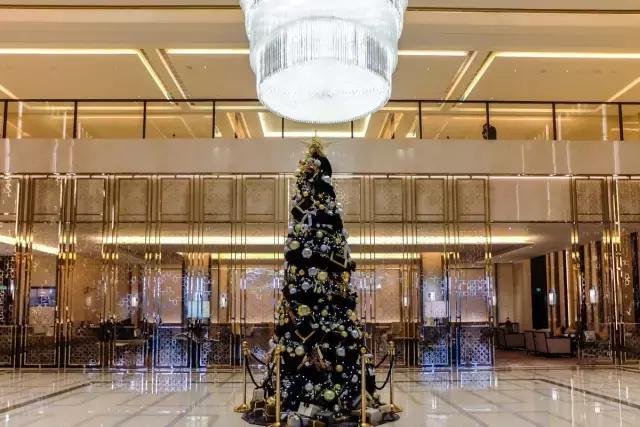 去上海国家会展中心路线,国家会展中心上海洲际酒店