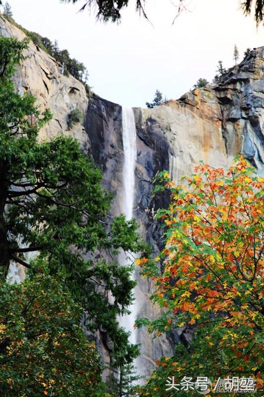 加利福尼亚美洲公园,加利福利亚国家公园