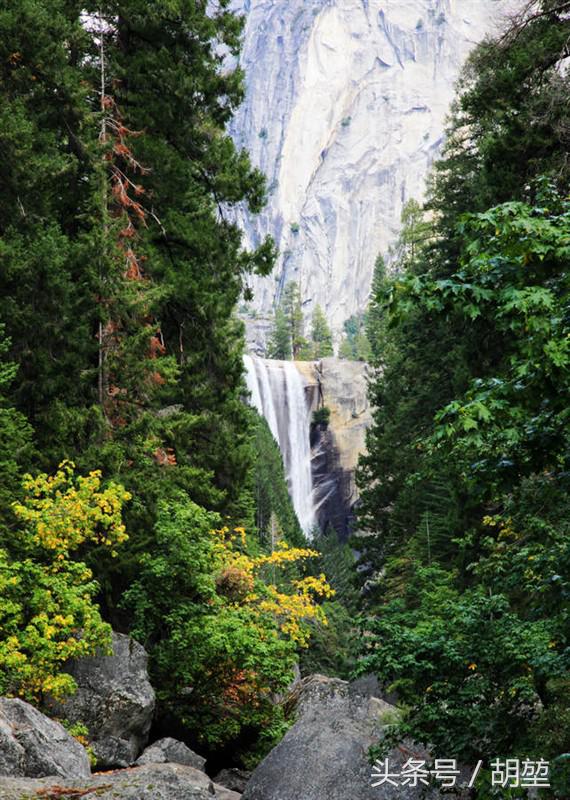 加利福尼亚美洲公园,加利福利亚国家公园