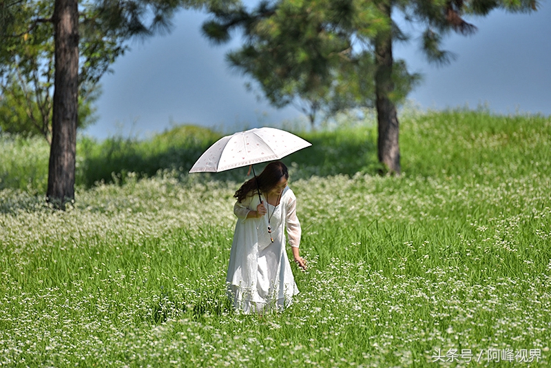 娲箹姘存氮鎵撴氮娲箹宀歌竟鍥剧墖,娲箹姘存氮鎵撴氮娲箹宀歌竟瑙嗛