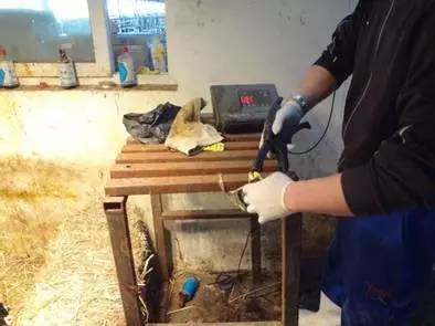 用心的犊牛管理者CRI国际兽医学博士——大卫L·布朗