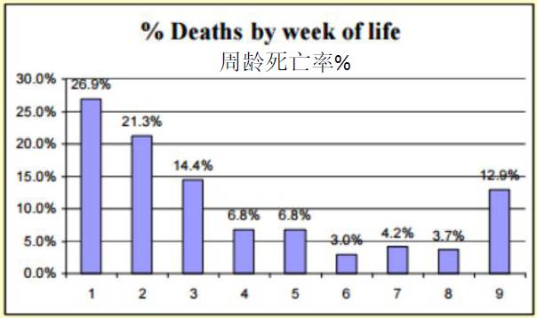 用心的犊牛管理者CRI国际兽医学博士——大卫L·布朗