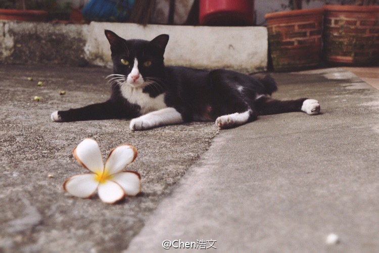 泰有趣来曼谷住民宿学做菜