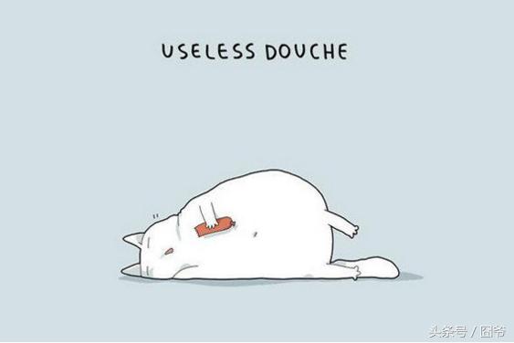 铲屎官要注意小猫咪的一些行为,铲屎官的猫都是什么品种图