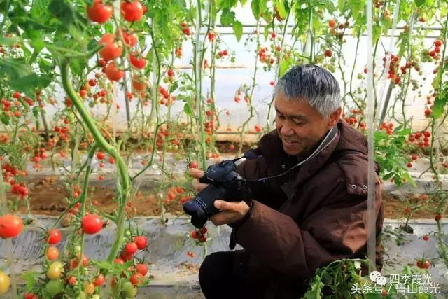 魅力龙泉,龙泉镇富硒采摘园