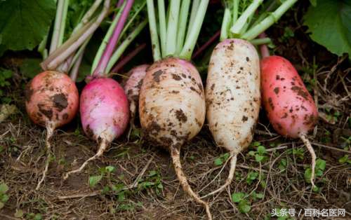 腹痛腹泻吃什么药都没用,腹痛不拉稀吃什么消炎药
