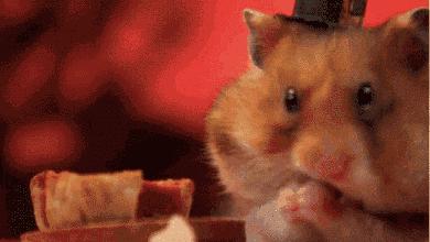 聊城蛋糕店推荐哪家最好吃,聊城蛋糕排行榜前十名