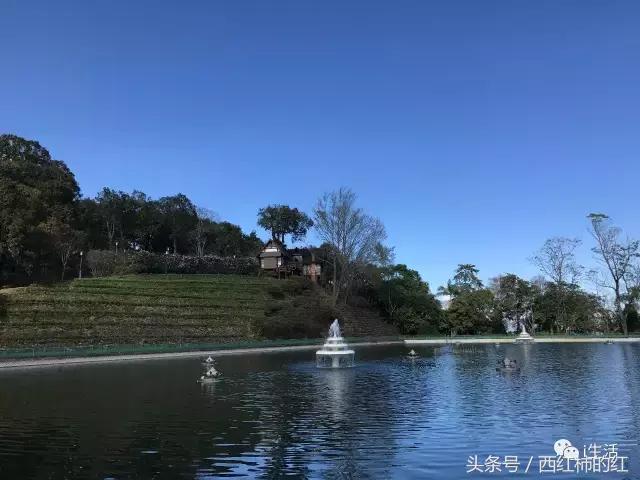 如果你喜欢清迈,泰国如果你爱一个人