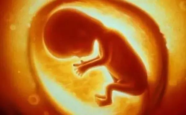 暖宫瑜伽全套60分钟完整版跟练,暖宫瑜伽有助于备孕吗