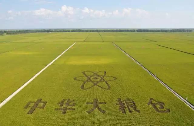 中国式“大地金融”：扎根在泥土里的小额农贷