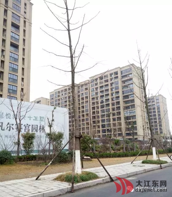 杭州地铁5号线姑娘桥站房子升值,杭州地铁7号线楼盘