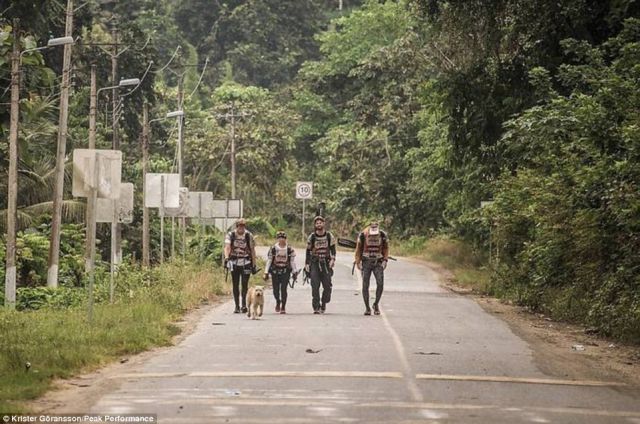 一条狗一个人的感人视频,一条狗一个人生活