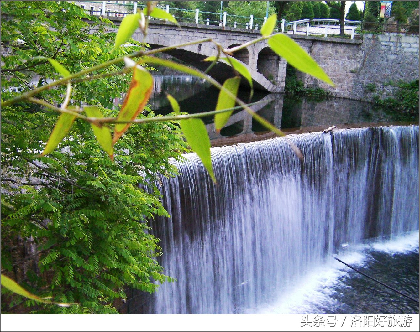 洛阳景区的官方导游词,洛阳导游词沿途讲解