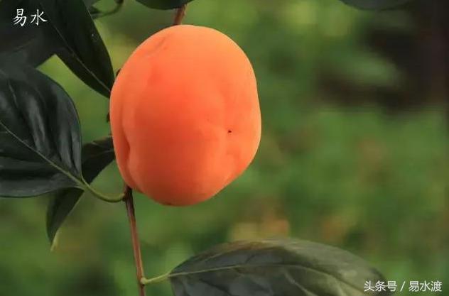 易县介绍在哪里,易县哪儿可以看玉的真假