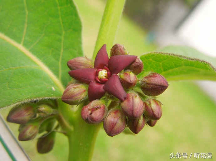 不知道给宝宝取什么名字好,不知道给小孩子取什么名字怎么取