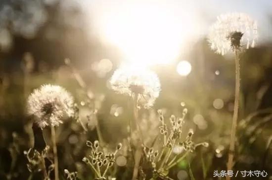 十年创业心路历程换来今天的辉煌,雄关漫道真如铁的文章