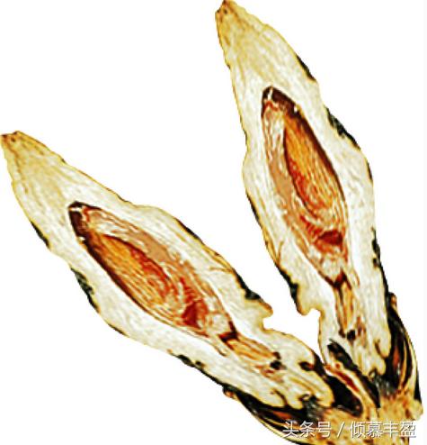 槟榔的危害太可怕,槟榔的危害有多恐怖